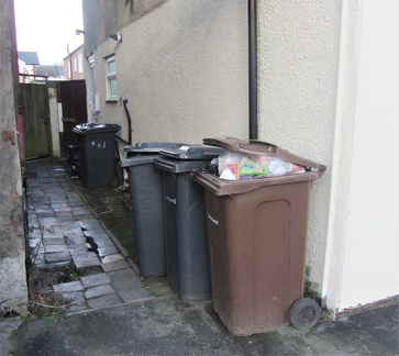 Brian 2 - Shakespeare St