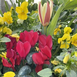 2020-02 Flowers and Birds