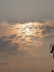 AlisonJ 1 20200425 184359