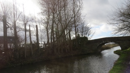 Brian 1 - Original Poor Picture