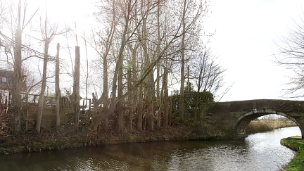 Brian 2 - After Pixlr Editing