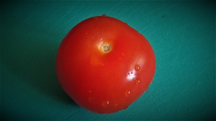 Brian 1 - Tomato