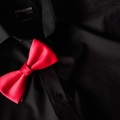 SteveB 1 - Bowtie