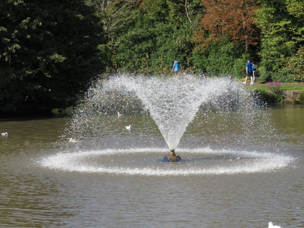 RodW 2 - Walking on Water