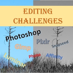 006 - Editing Challenges