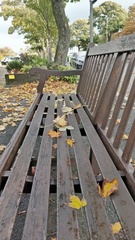 IH8 - Is this seat free?