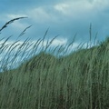 Brian 2 - Ainsdale Dunes