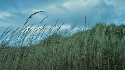 Brian 2 - Ainsdale Dunes