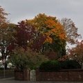 Brian 9 - Near Hesketh Park