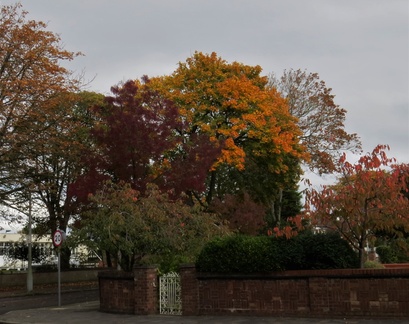 Brian 9 - Near Hesketh Park