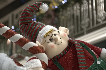 IH Christmas Elf Wayfarers