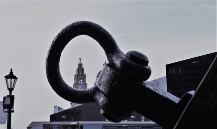Brian - Liverbird through Anchor Hoop - Monochrome