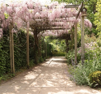 Brian 2 - Wisteria Arch