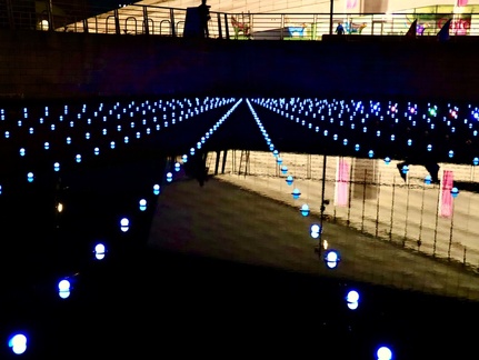 0C51C8BF-CBA4-4F89-9FB6-9E851253E1E8 1 201 a