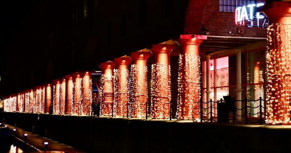 E14B843F-B118-4230-A835-69FDA257A685 1 201 a