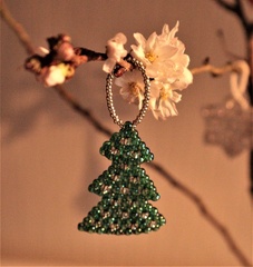 Brian - Ornament on Winter Flowering Cherry