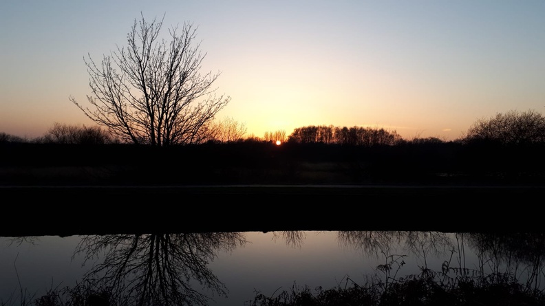 Tree reflection on Canal by Scotsmans Flash.jpg
