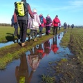SteveB 4, U3A Walkers