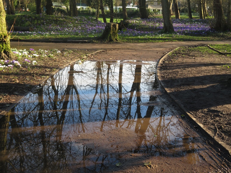 RW(2) Reflections & Mud.JPG