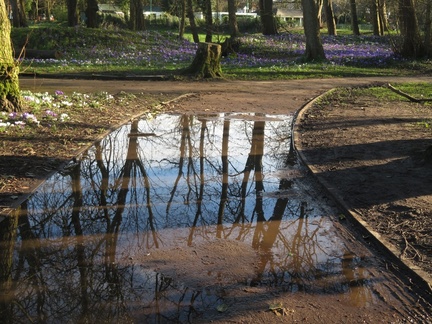RW(2) Reflections & Mud