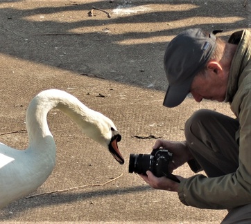 Brian - Steve and his new best friend