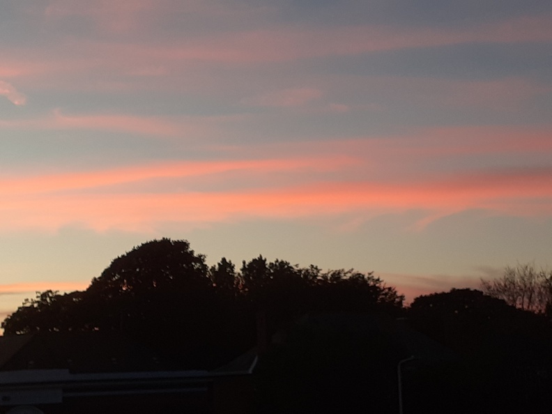 20220809_211414.jpg