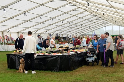 Southport Flower Show    (5)