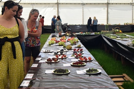 Fruit &amp; Veg competition