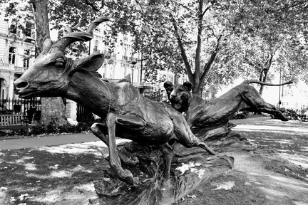 Alanj 3 - He's behind you ! London park 