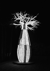 MarieM - Baobab, Tree of Life 