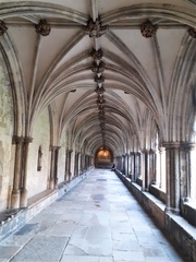Brian 1 - Norwich Cathedral