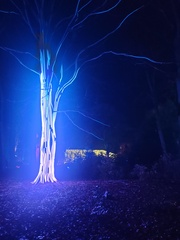 IanMc - Dunham Massey