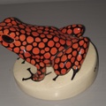 AllanJ - Frog from Costa Rica  (From Sons collection )