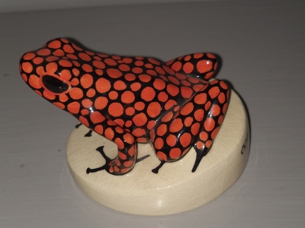 AllanJ - Frog from Costa Rica  (From Sons collection )