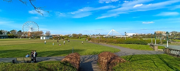 IH - Kings Gardens wide