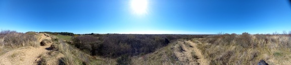 AnneJ -  Birkdale dunes