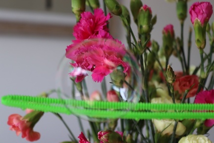 AllanJ Best I could catch 