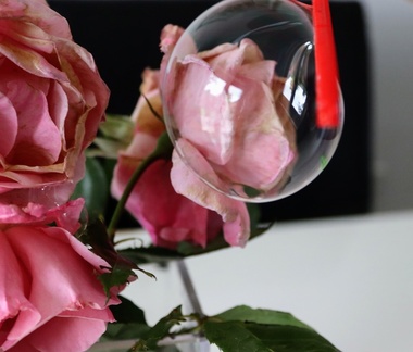 AllanJ Best one I could do !