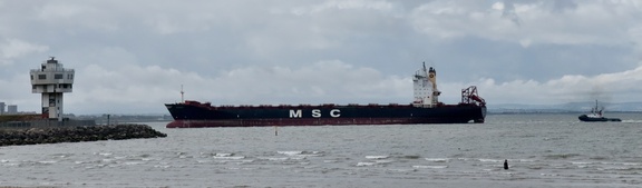 62B3AC06-676A-45E5-8FE1-0586F8BE3CB4 1 201 a