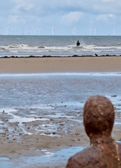 29097CF2-1602-40D9-B380-94D971DB6FBE 1 201 a