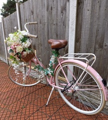 AnneJ - Bike outside Rose Tea Rooms, Hesketh Park.  