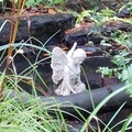 Hazel's angel