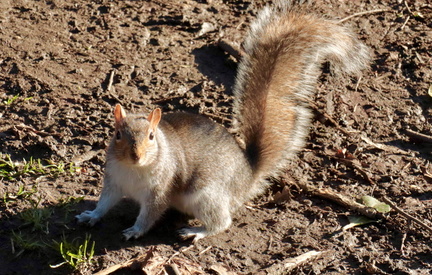 28840C55-C729-4D97-9062-9F3A2C017938 1 201 a