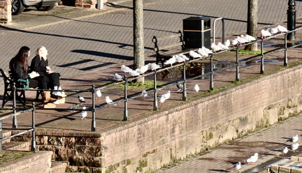 EBA11771-81C8-4343-9981-09908A3F0F64 1 201 a