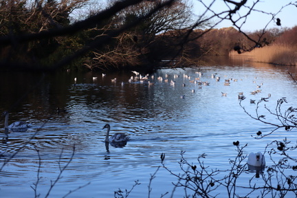 Brian - Sands Lake