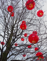 Brian - Balloons