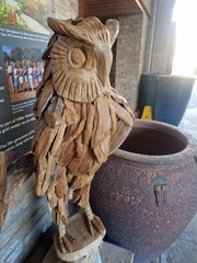 AllanJ - Bird of Prey , Syon Park Garden centre 