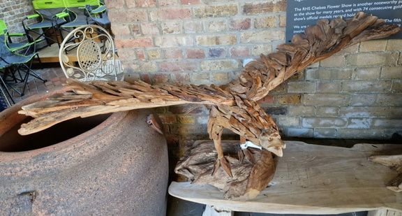 AllanJ -Bird of Prey Syon Park Garden centre