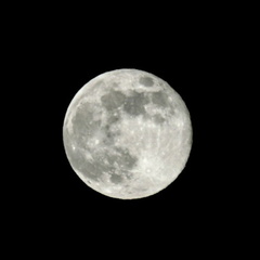 IanH - first attempt with long lens