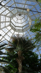 P1000169